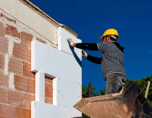 Best Local Insulation Services  in Woodson Terrace, MO